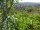 Webcam in Feuerbach, 26.6 km