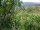 Webcam in Feuerbach, 7.1 mi away