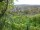 Webcam in Feuerbach, 5.7 mi away