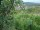Webcam in Feuerbach, 4.8 mi away