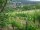Webcam in Feuerbach, 3.7 mi away