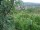 Webcam in Feuerbach, 12.6 km entfernt