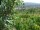 Webcam in Feuerbach, 5 km entfernt
