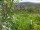Webcam in Feuerbach, 6.2 mi away