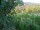 Webcam in Feuerbach, 5.5 mi away