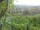 Webcam in Feuerbach, 4 mi away