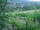 Webcam in Feuerbach, 3.7 mi away