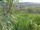 Webcam in Feuerbach, 4.3 mi away