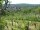 Webcam in Feuerbach, 22 km