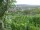 Webcam in Feuerbach, 1.7 mi away