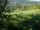 Webcam in Feuerbach, 8.5 mi away