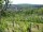 Webcam in Feuerbach, 5.9 km