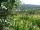 Webcam in Feuerbach, 7.5 mi away