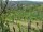 Webcam in Feuerbach, 14.4 km entfernt