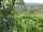 Webcam in Feuerbach, 18.3 km