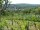 Webcam in Feuerbach, 11 km