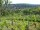 Webcam in Feuerbach, 5.1 km