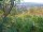 Webcam in Feuerbach, 3.7 mi away