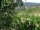 Webcam in Feuerbach, 3.7 mi away