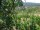 Webcam in Feuerbach, 5.6 mi away