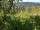 Webcam in Feuerbach, 9.6 km