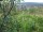 Webcam in Feuerbach, 16.3 mi away