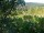 Webcam in Feuerbach, 6.6 mi away