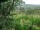 Webcam in Feuerbach, 7.5 mi away