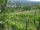Webcam in Feuerbach, 10.3 km entfernt
