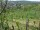 Webcam in Feuerbach, 8.5 mi away