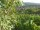 Webcam in Feuerbach, 5 km entfernt