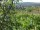 Webcam in Feuerbach, 4.8 mi away
