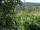 Webcam in Feuerbach, 3 mi away