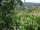 Webcam in Feuerbach, 9.6 mi away