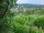 Webcam in Feuerbach, 8.5 mi away