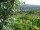 Webcam in Feuerbach, 4.8 mi away