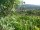 Webcam in Feuerbach, 12.4 km