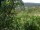 Webcam in Feuerbach, 4.4 mi away