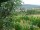 Webcam in Feuerbach, 4.4 mi away
