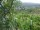 Webcam in Feuerbach, 5.6 mi away