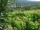 Webcam in Feuerbach, 7.5 mi away
