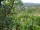 Webcam in Feuerbach, 3.7 mi away