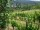 Webcam in Feuerbach, 4 mi away