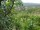 Webcam in Feuerbach, 9.6 km