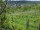 Webcam in Feuerbach, 6.6 mi away