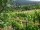 Webcam in Feuerbach, 4.6 km entfernt