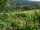 Webcam in Feuerbach, 4.6 km