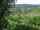 Webcam in Feuerbach, 8.9 km