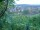 Webcam in Feuerbach, 4.5 mi away