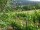 Webcam in Feuerbach, 4.6 km